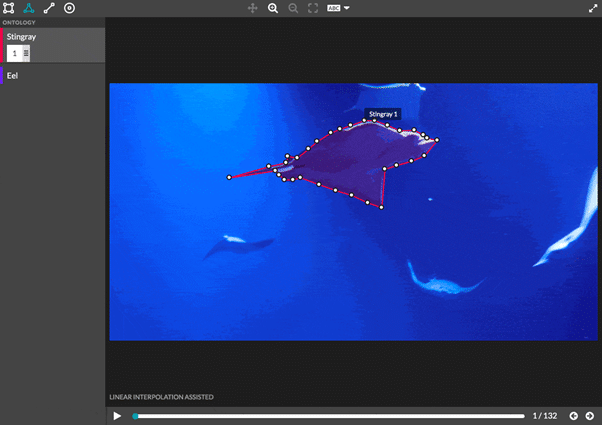 데이터 라벨링 툴에 바다에 있는 가오리가 어노테이션되어 있음